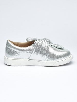 SC-Q4-SILVER-3